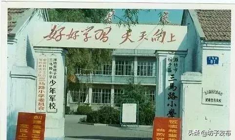体操校庆小学生舞蹈视频_小学学校体操教学视频_小学生校庆体操