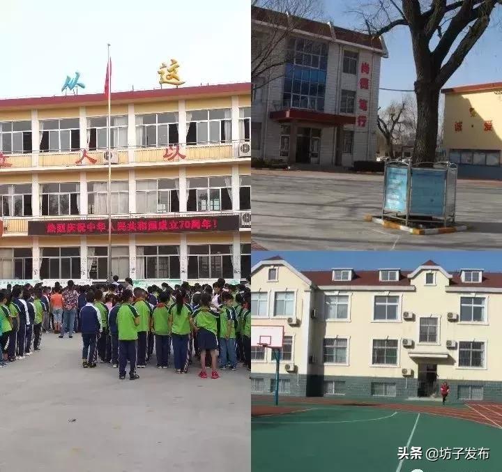 小学生校庆体操_小学学校体操教学视频_体操校庆小学生舞蹈视频