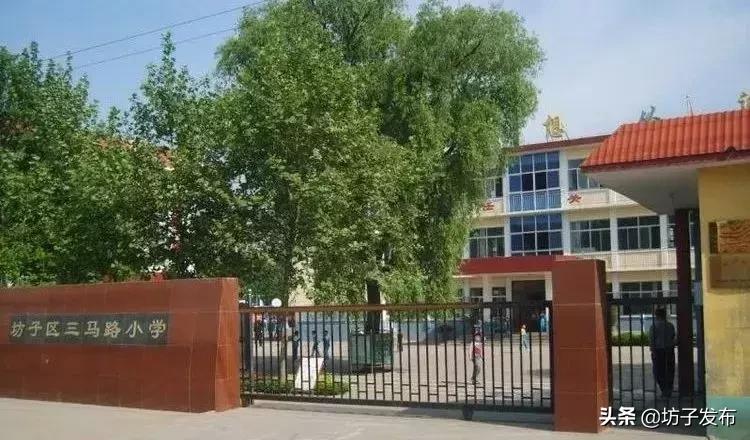 小学生校庆体操_小学学校体操教学视频_体操校庆小学生舞蹈视频
