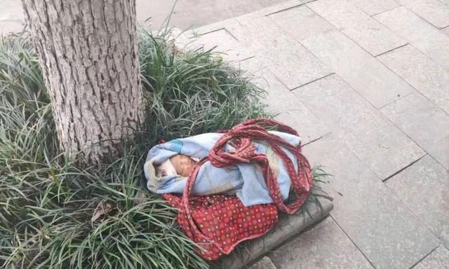 加拿大女子游泳金牌_加拿大中国女子游泳冠军_加拿大游泳冠军是中国人吗