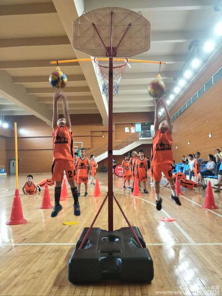 篮球规则 抱球动作图片_篮球规则抱球_篮球抱球姿势图片
