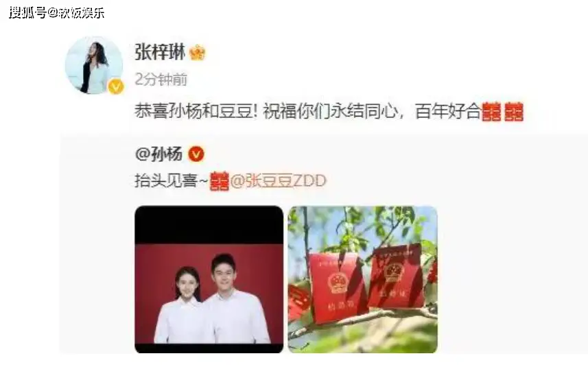 游泳世界冠军官宣恋情了吗_丁汇宇恐怖游泳官里游泳图片_王子文吴永恩官宣恋情