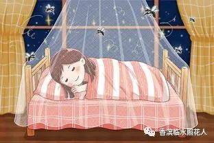 生活万花筒 蚊子趣事_蚊子趣事500字优秀作文_生活万花筒作文蚊子风波