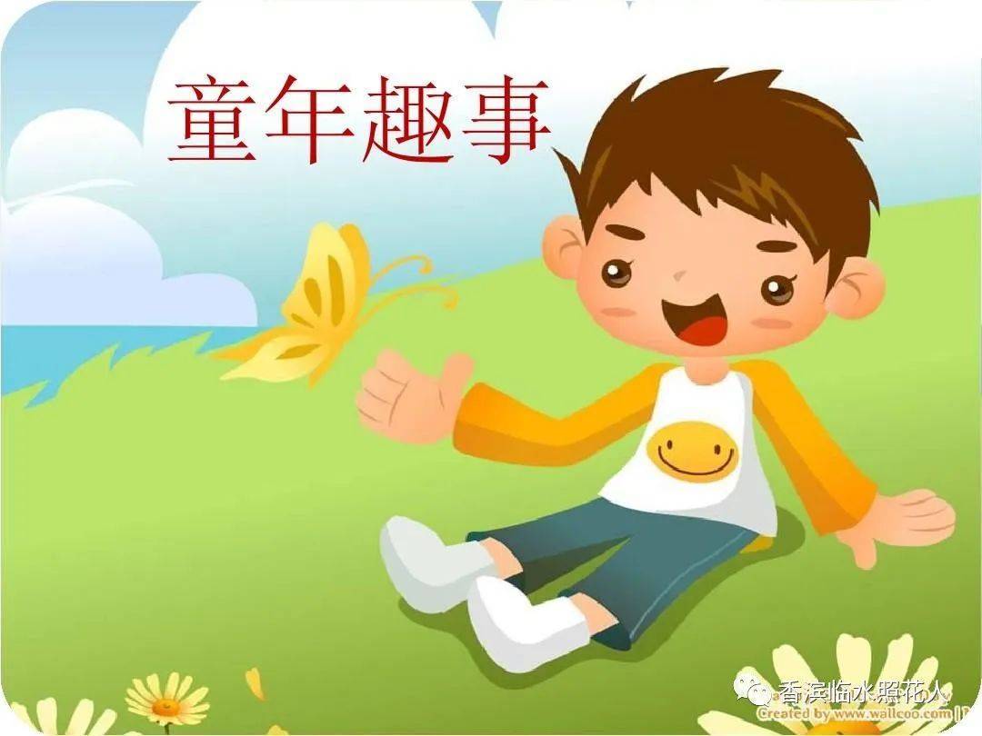 生活万花筒 蚊子趣事_生活万花筒作文蚊子风波_蚊子趣事500字优秀作文