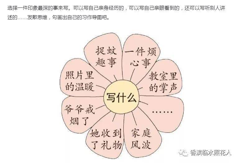 生活万花筒 蚊子趣事_生活万花筒作文蚊子风波_蚊子趣事500字优秀作文