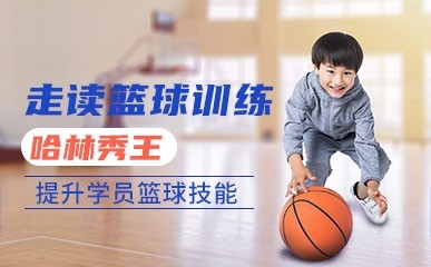 北京哈林秀王篮球训练营